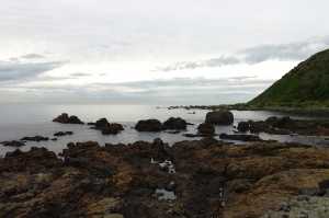 OWHIRO-BAY (3)